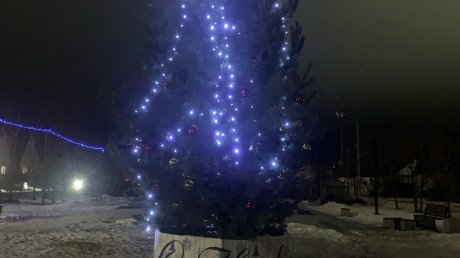 В Мичуринском прислушались к жалобам на новогоднюю елку
