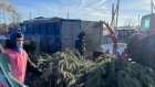 Пензенцев просят оставлять елки возле мусорных контейнеров