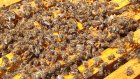 В Пензенской области нашли мед с содержанием антибиотика-канцерогена
