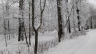 В Пензенской области в весенний праздник обещают снегопады