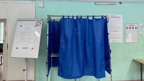 В Пензенской области явка на выборы составила 76%