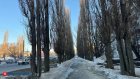 20 марта в Пензенской области потеплеет до 8 градусов