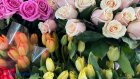 Цветы на полмиллиона перехватили по дороге в Пензу