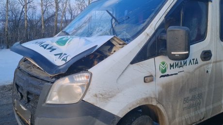 На трассе в Нижнеломовском районе погиб пешеход