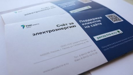 СНТ «Дубрава» переходит на прямые договоры с «ТНС энерго Пенза»
