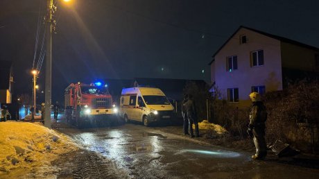 Горящий дом в Кривозерье тушили 12 пожарных