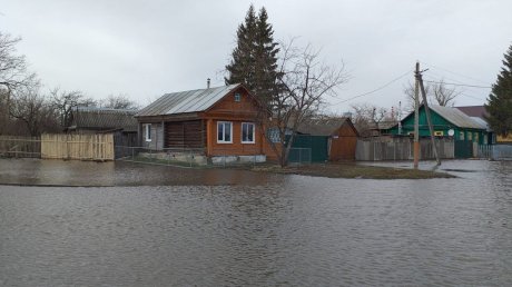В Нижнеломовском районе большая вода пришла в 117 домовладений