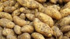 В пензенские больницы поступит картофель, выращенный осужденными