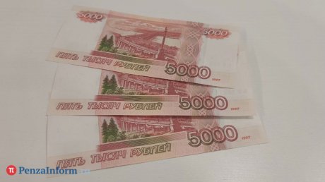 Пензенцы за год заняли до зарплаты 541,7 млн рублей
