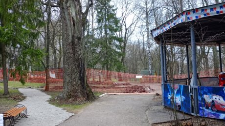 В парке имени Белинского перекрыли одну из аллей