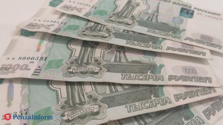 В Городище иностранец принес в полицию паспорт с деньгами внутри