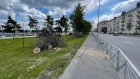 В Управлении ЖКХ Пензы объяснили снос деревьев на набережной