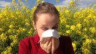 В Госдуме захотели разрешить переходить на удаленку во время сезонной аллергии
