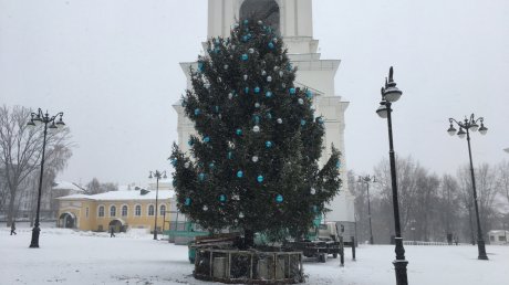 На Соборной площади в Пензе начали украшать живую ель