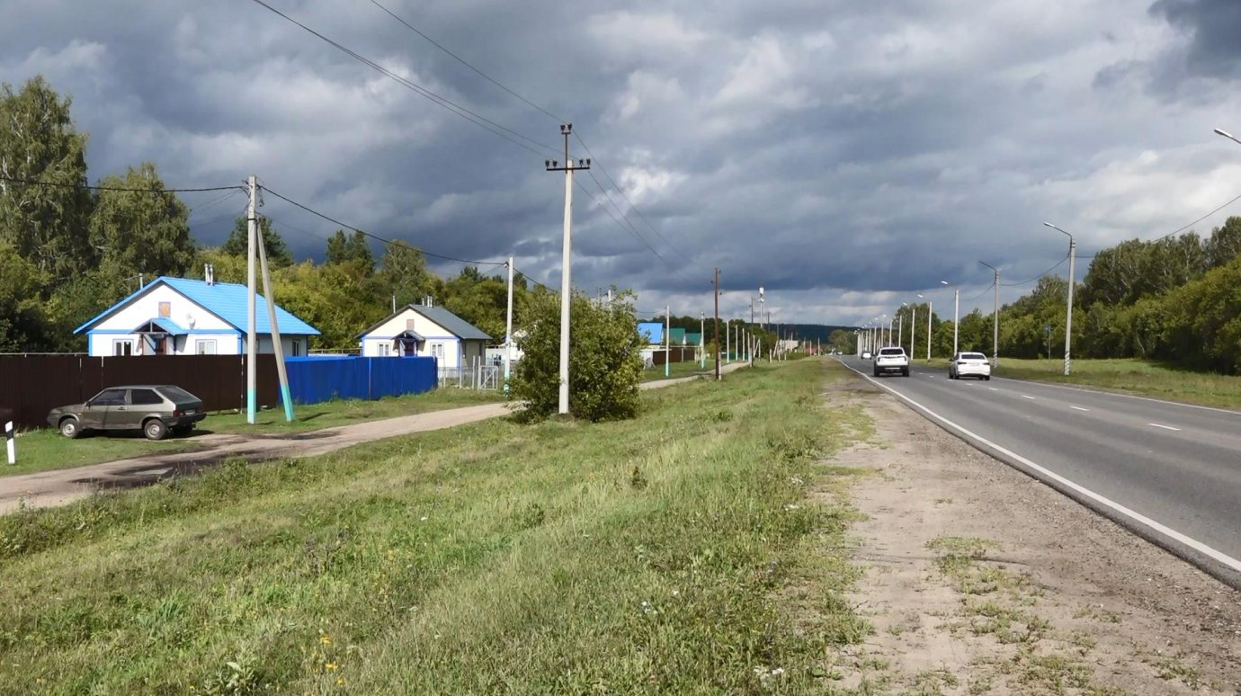 В Пензенской области обнаружили плантацию конопли В Пензенской области обнаружили плантацию конопли