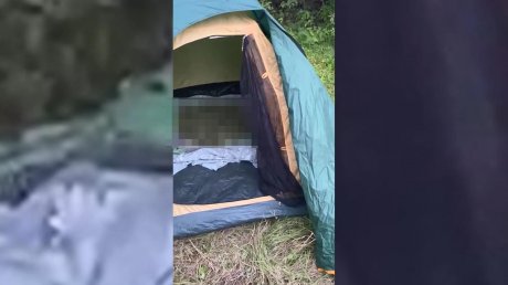 В Пензенской области обнаружили плантацию конопли