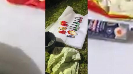 В Пензенской области обнаружили плантацию конопли