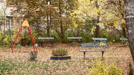 Пензенец оформил доверенность на незнакомку и потерял 1,3 млн рублей