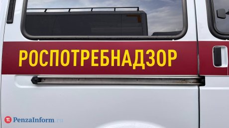 В 2025 году из-за нападения клещей пострадали 2 616 человек