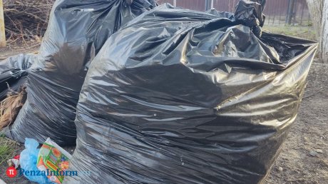 В Пензе продлили срок бесплатного вывоза опавшей листвы на полигон