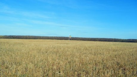 В Малосердобинском районе выявили памятник археологии