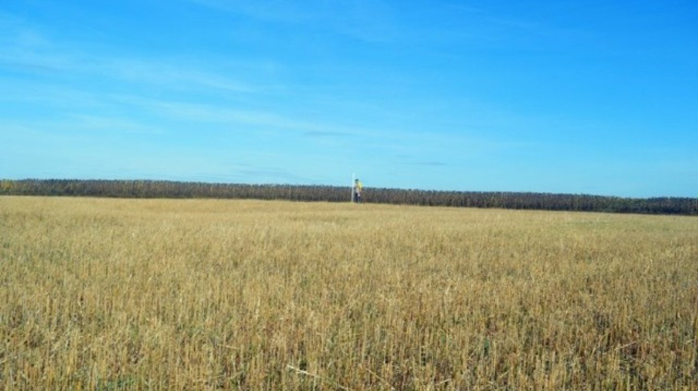 В Малосердобинском районе выявили памятник археологии В Малосердобинском районе выявили памятник археологии