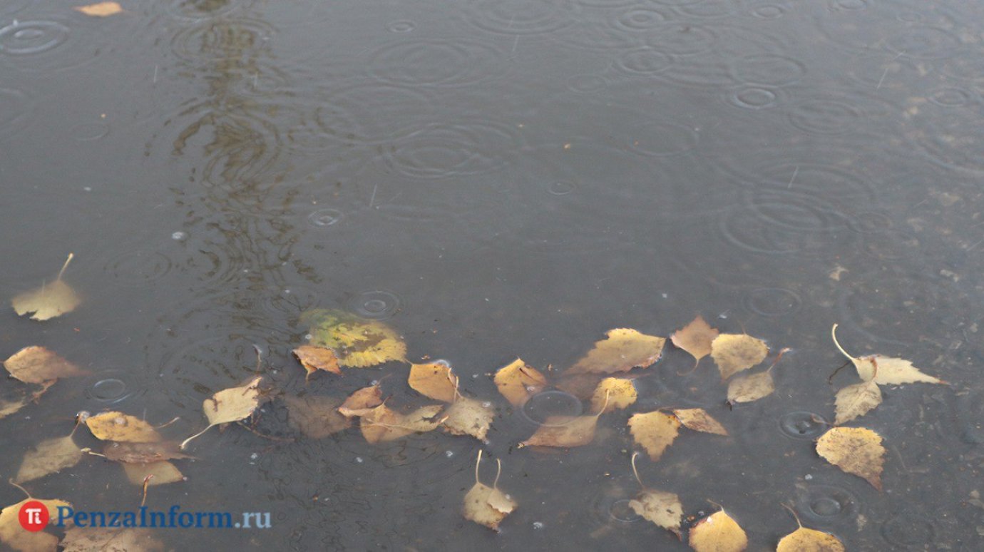 Синоптики рассказали о погоде в Пензенской области 30 октября Синоптики рассказали о погоде в Пензенской области 30 октября