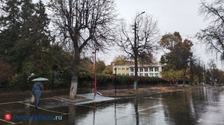 31 октября на Пензенскую область прольются дожди