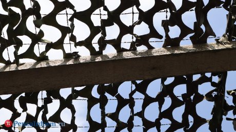 Раскрыто содержание послания Лаврова Вашингтону по Украине. Жесткую позицию России назвали причиной отмены саммита Путина и Трампа