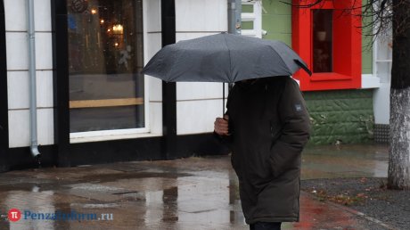 В Пензенской области в первый день ноября ожидается ненастная погода