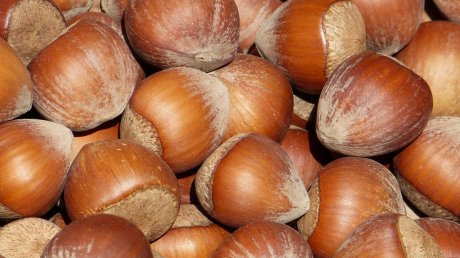 Россиянам назвали устраняющее «запах старости» средство