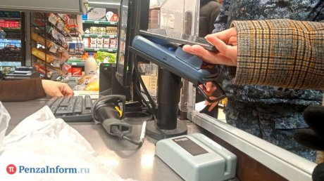 В ПФО переходят на альтернативные платежные инструменты