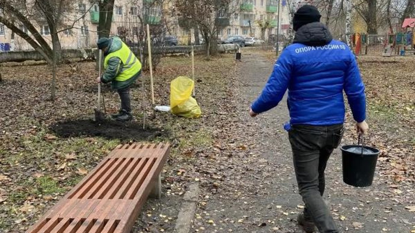 В сквере Дружбы на Шуисте высадили новые деревья В сквере Дружбы на Шуисте высадили новые деревья