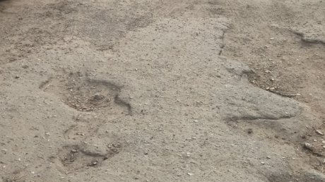 Как в экстремальных шоу: пензячка рассказала о дороге на ул. Горького