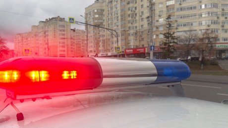 За 10 месяцев в Пензенской области ДТП унесли жизни 28 пешеходов