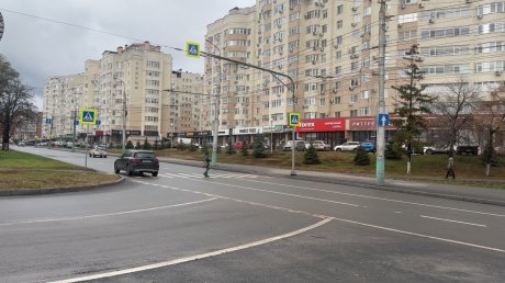 За 10 месяцев в Пензенской области ДТП унесли жизни 28 пешеходов