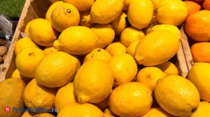  ���� ���������� ������ ������ �������� 