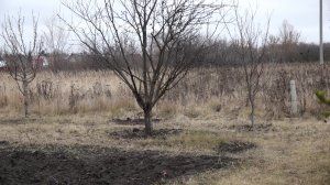 ����: penzainform.ru