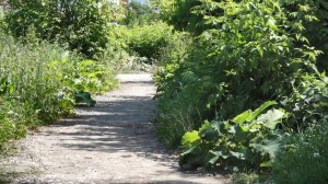  �������� ���������� ��������� ������� ���������� �������� 