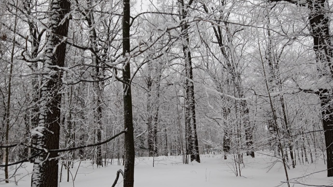  ���������� ������� ������ ��������� ����� -32 