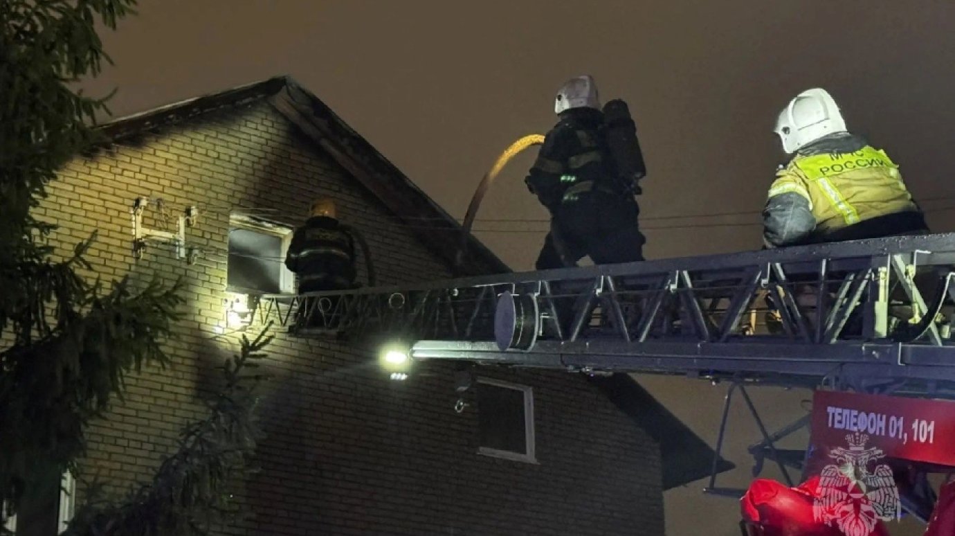 ����: penzainform.ru