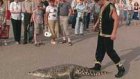 На городские улицы выпустили крокодилов