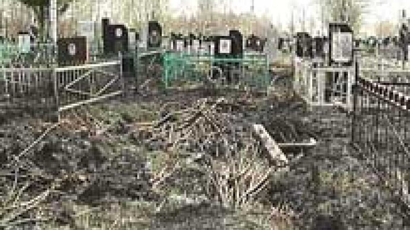 Чемодановское кладбище выжжено огнем