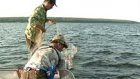 Сурское море очистили от браконьерских сетей