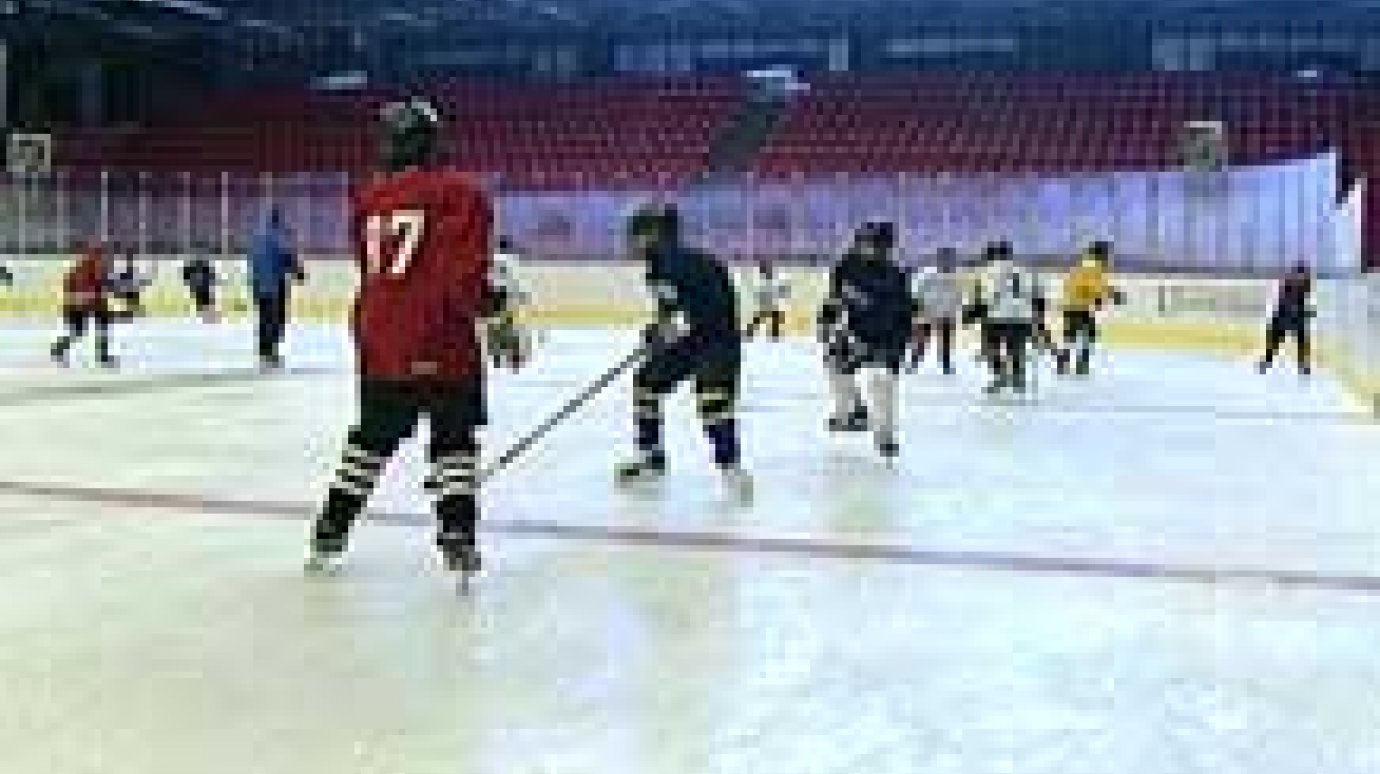Юные хоккеисты приступили к тренировкам на льду