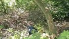 В Арбековском лесу обнаружили труп самоубийцы