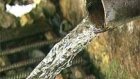 Медики запретили пить родниковую воду