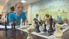 Шахматисты сражаются за кубок чемпионата страны