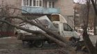 «Ледяное» дерево рухнуло на грузовую «ГАЗель»