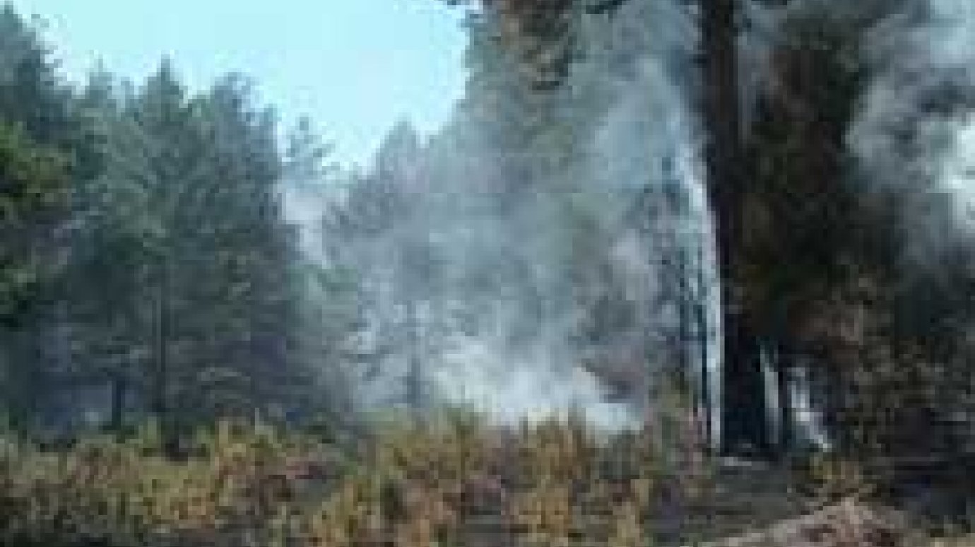 Пожарные справились с огнем в Ахунах